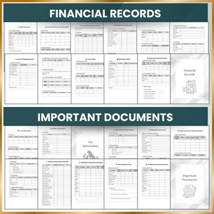 Digital emergency binder financial planning documents including debt overview, income tracker, retirement accounts, and important checklists like passwords, employment, and professional contacts.