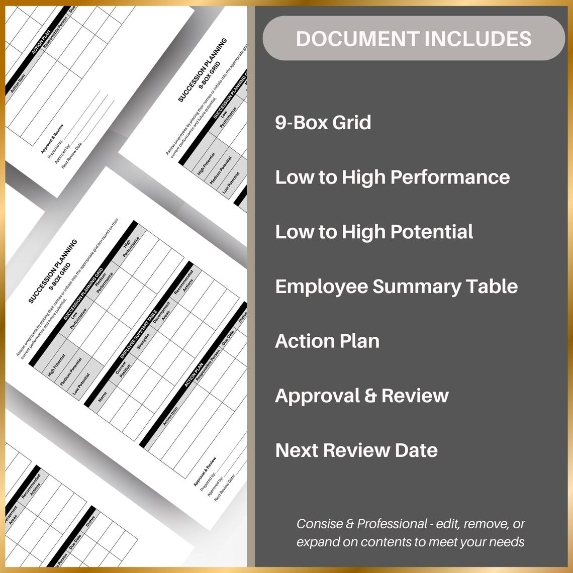 Grid Action Plan Succession Planning Template: 9-box Grid & Action Plan (printable PDF ...