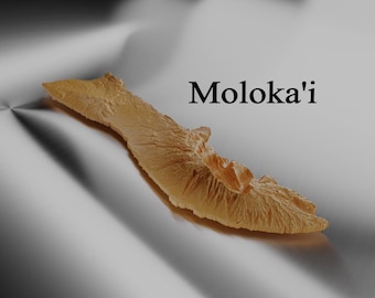 Moloka'i High Detail Topographic Model - 3D Printer and CNC STL File