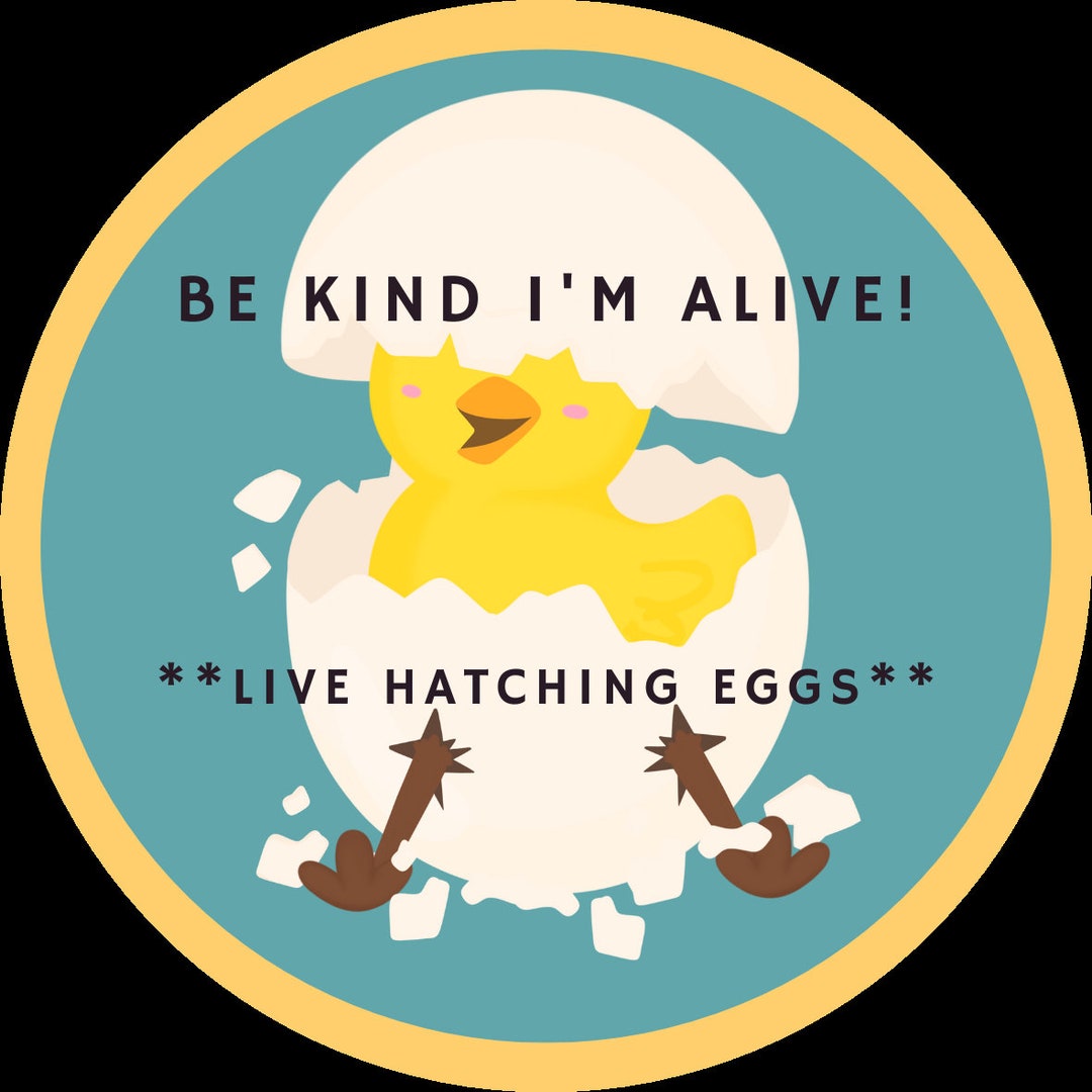 Shipping Stickers for Hatching Eggs Etsy