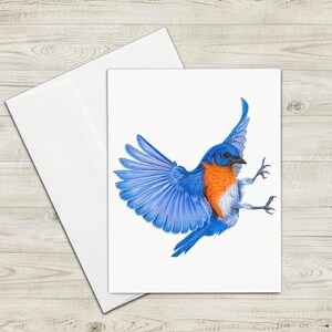 Bluebird Bird Greeting Card