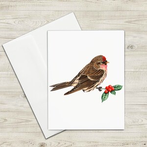 Carte de voeux oiseau troglodyte