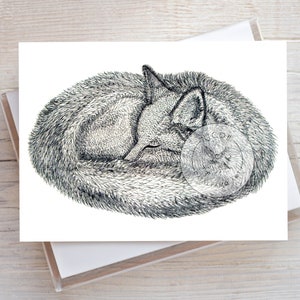 Puede incluir: Un dibujo en blanco y negro de un zorro acurrucado dormido. El zorro está dibujado en un estilo realista con pelo detallado.