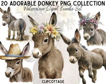 20 Donkeys Clipart Bundle - Digital PNG Sublimation Cute Animal Illustrations for Invitations, Scrapbooking and Crafts - Commercial Use Inc.