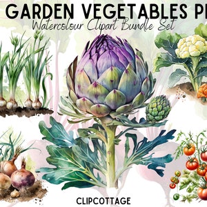 20 Garden Vegetables Clipart Bundle - Nature PNG Sublimation Illustrations for Invitations, Scrapbooking and Crafts - Commercial Use Inc.