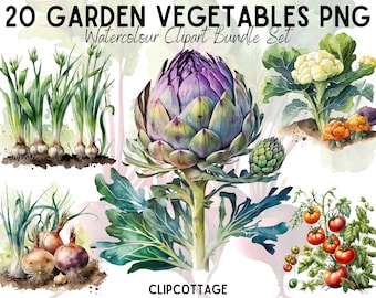 20 Garden Vegetables Clipart Bundle - Nature PNG Sublimation Illustrations for Invitations, Scrapbooking and Crafts - Commercial Use Inc.
