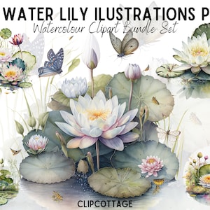 Water Lily Clipart PNG Sublimation Bundle | 20 Transparent Floral Nature Pond Watercolour Digital Download Design Prints | Commercial Use