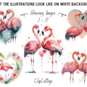 May include: Five watercolour illustrations of pink flamingos in various poses, including a pair of flamingos with their necks intertwined in a heart shape. The illustrations are set against a white background with pink hearts scattered around them.