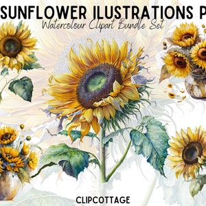 Pacote de sublimação PNG de clipart de girassol | 20 amantes de paisagens naturais transparentes em aquarela para download digital de impressões de design | Uso comercial