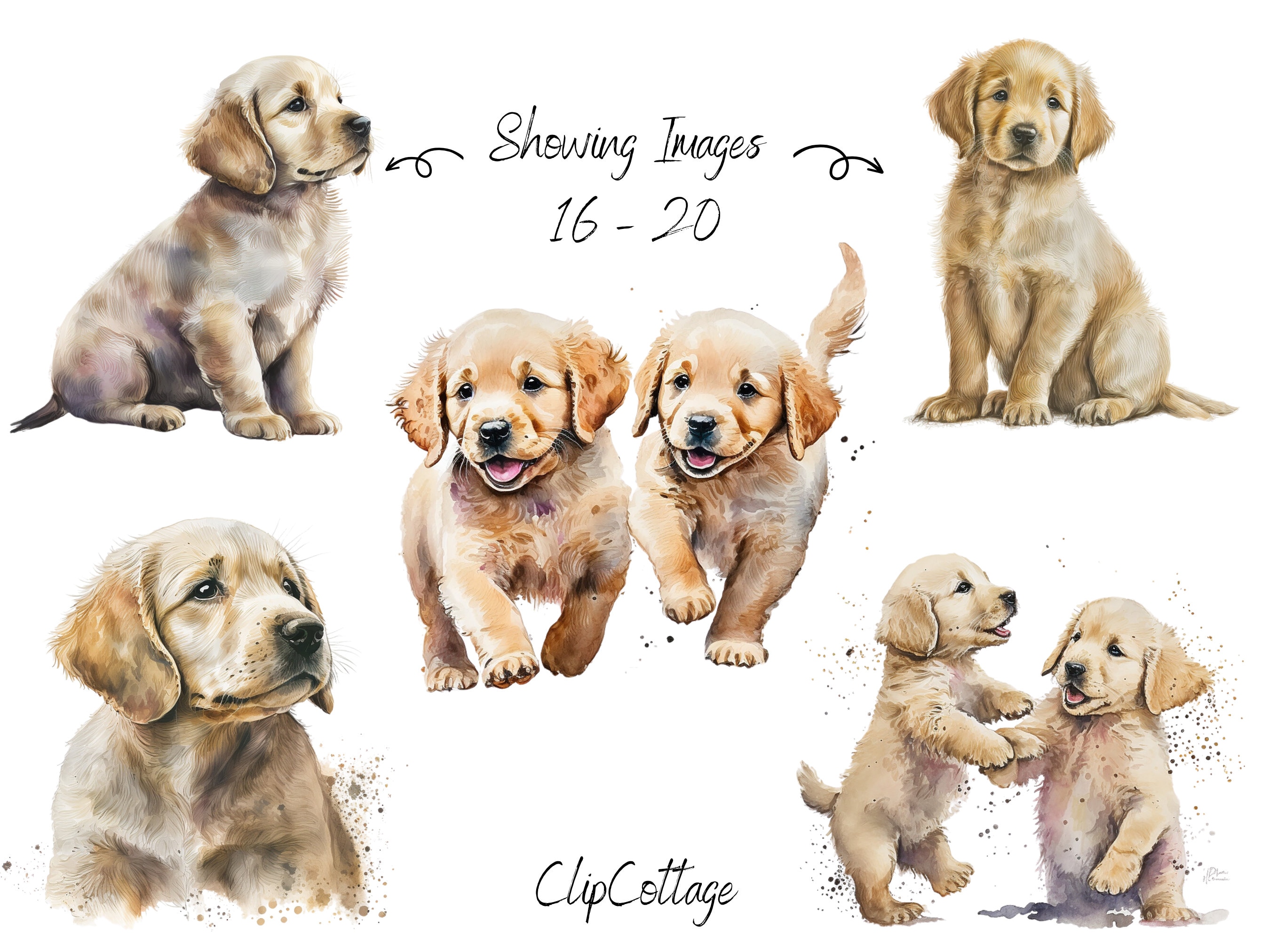 Golden Retriever Puppy Clipart PNG Sublimation Bundle | 20 Transparent ...