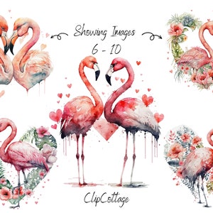 May include: Watercolour painting of pink flamingos in heart shapes with flowers and greenery. The text "Showing Images 6 - 10" and "ClipCottage" are also included in the image.