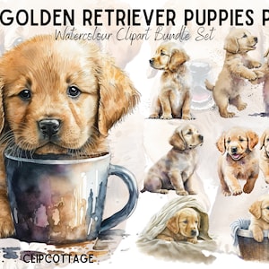 Golden Retriever Puppy Clipart PNG Sublimation Bundle | 20 Transparent Animal Lovers Watercolour Digital Download Design | Commercial Use