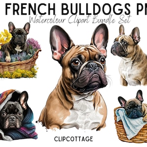 20 ilustrações digitais de sublimação PNG para amantes de animais de buldogue francês para convites, álbuns de recortes e produtos POD com uso comercial