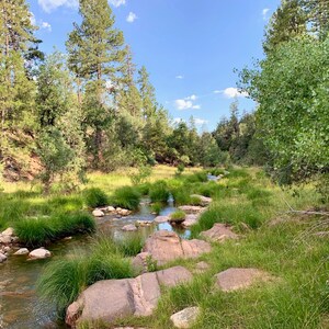 Babbling Brook
