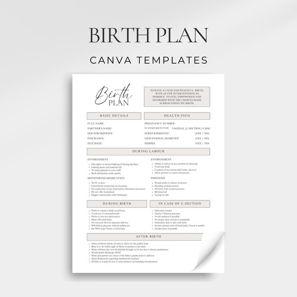 Comprehensive Birth Plan Template, Editable and Printable Birthing Plan, Doula, Midwife, New Mom Planner, Pregnancy Planner, Doula Resource
