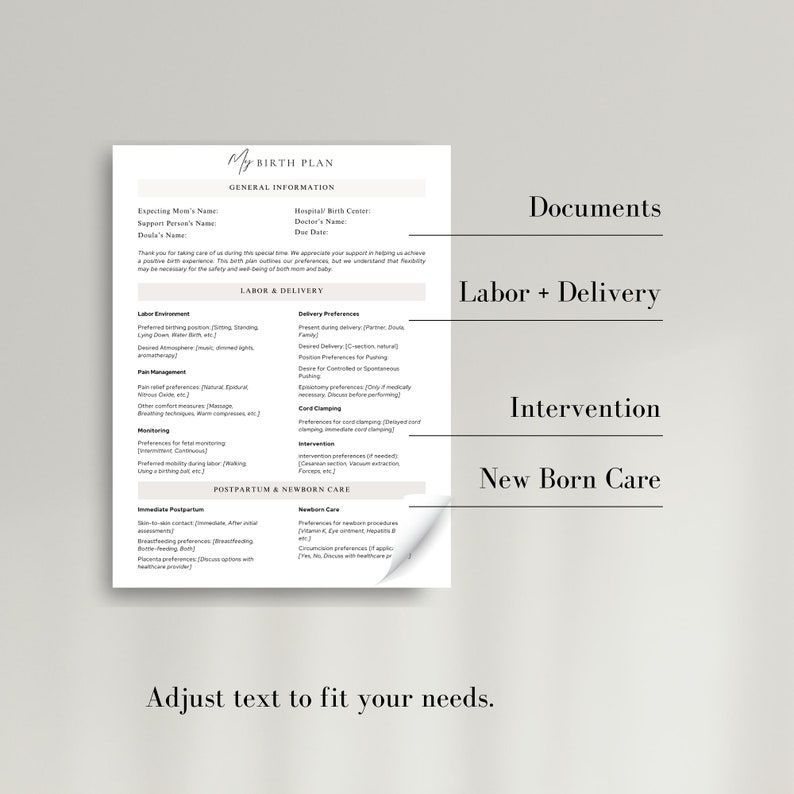 Comprehensive Birth Plan Template, Editable and Printable Birthing Plan, Doula, Midwife, New Mom Planner, Pregnancy Planner, Doula Resource