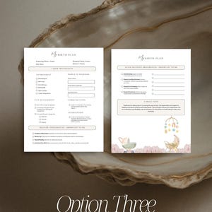 Plan de parto integral, plantilla de Canva: planificador de parto imprimible, recurso para doulas, parteras y madres primerizas. imagen 7