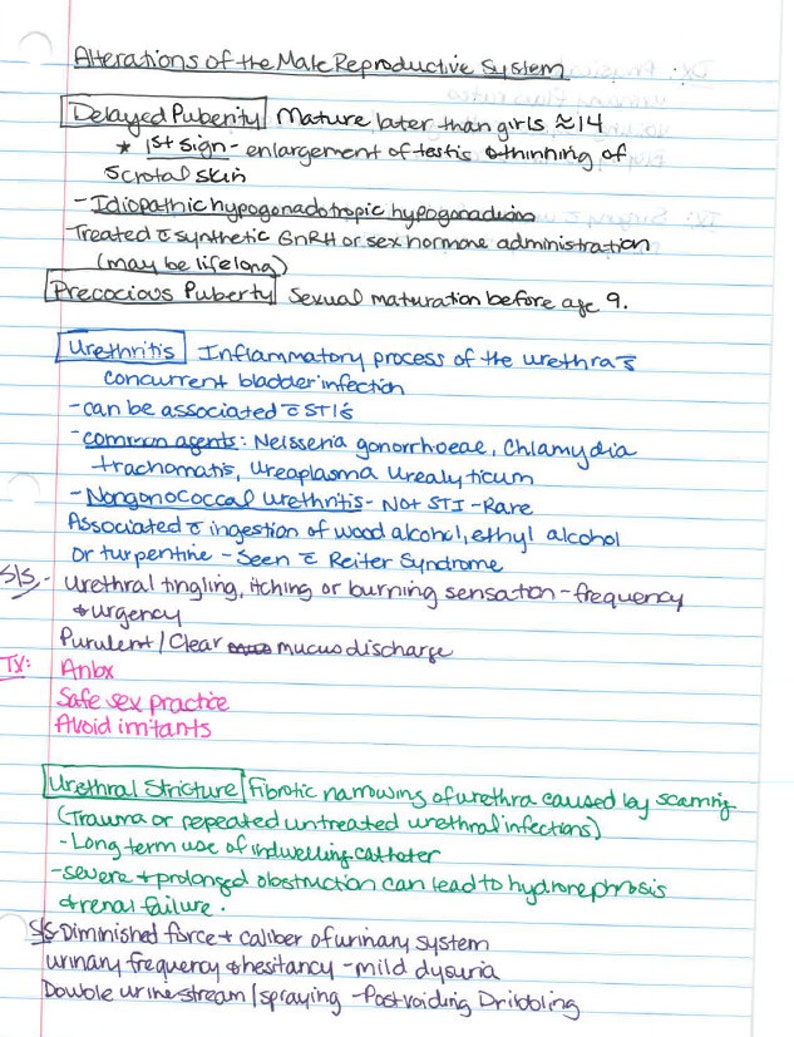 Advanced pathophysiology handwritten notes etsy