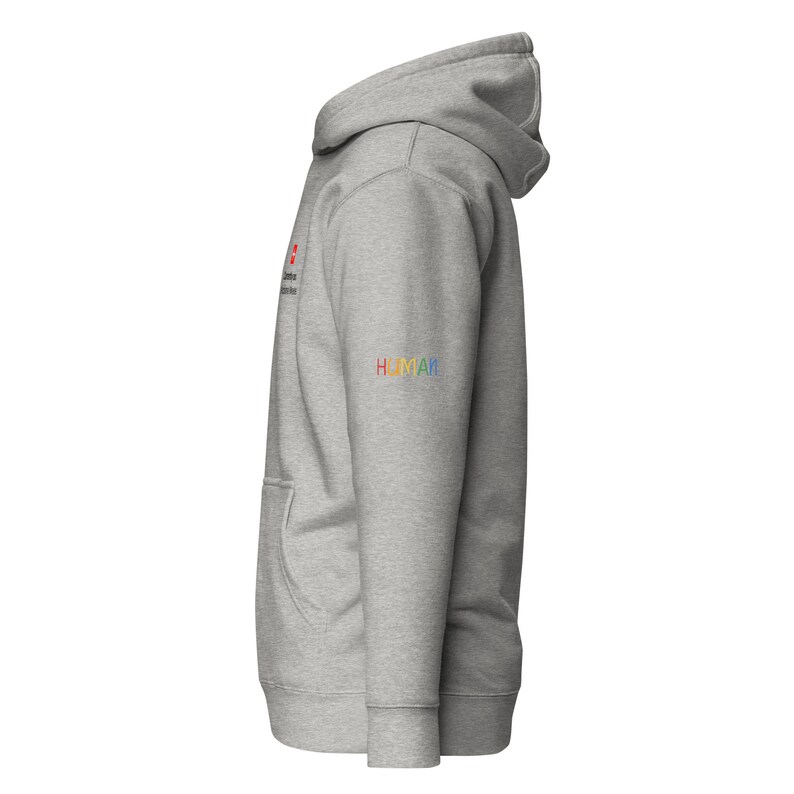 Currently on Airplane Mode , Aesthetic Sweatshirt, Trendy Hoodie, Oversized Hoodie, Pinterest Hoodie, Words On Front Hoodie, VSCO Girl