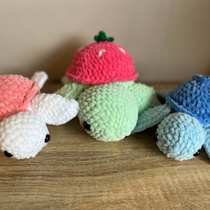 Bellissime mini tartarughe fatte a mano