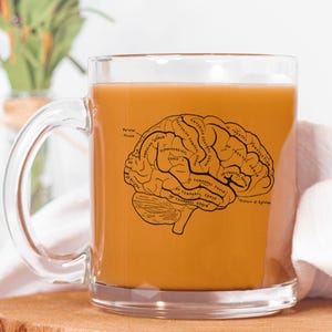 May include: A clear glass mug filled with a light brown liquid, featuring a black anatomical brain diagram. The mug sits on a wooden surface, with a white cloth and a vase of purple flowers in the background. The brain diagram has labels.