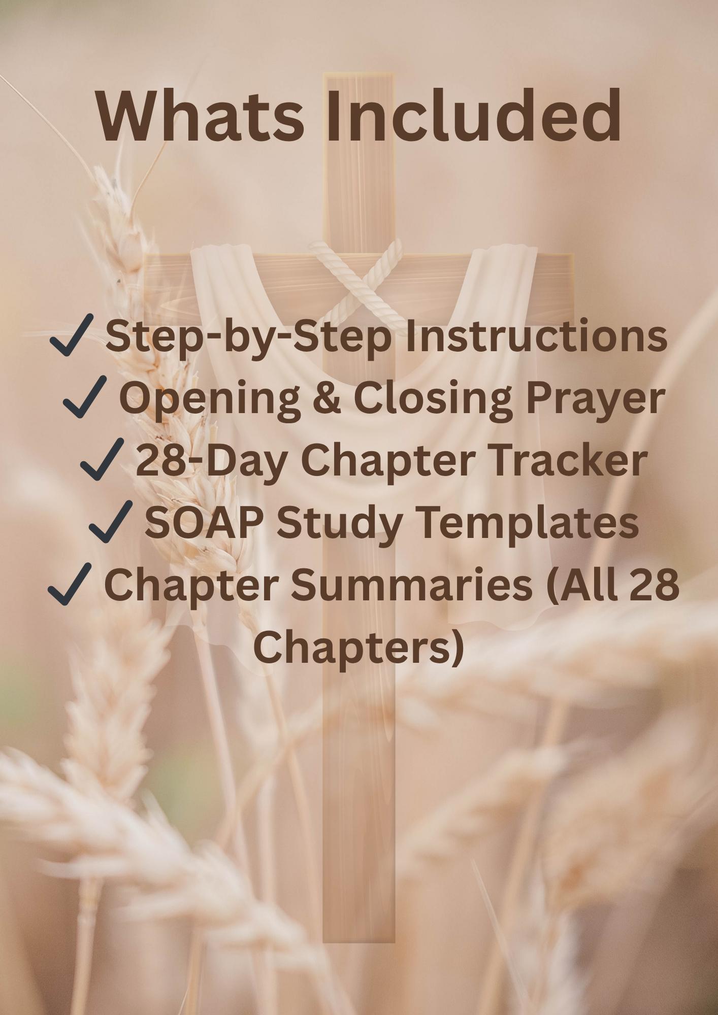 A Chapter a Day - Gospel of Matthew Bible Study - Etsy Canada