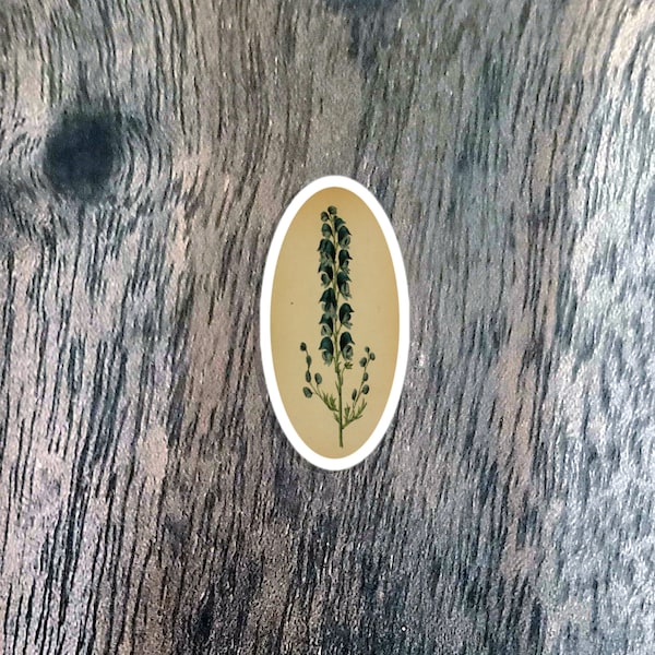 Antique-Style Aconite Sticker! | Wolf's Bane | Wolfsbane | Poison flower | Dark Academia sticker for laptops, water bottles, books, gifts