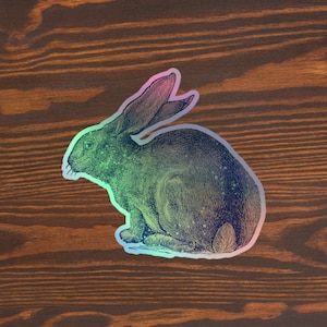 Peut inclure: Autocollant holographique représentant une illustration détaillée d'un lapin dans des tons verts, bleus et roses. L'autocollant a une esthétique vintage et est posé sur un fond de grain de bois foncé.