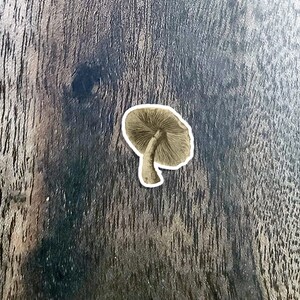 Antique-Style Mushroom Sticker! | Fungus | Dark Academia and Cottagecore Stickers for Laptops | Gremlincore Stickers | Nature | Botany