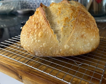 Mature and Active, Dried Sourdough Starter