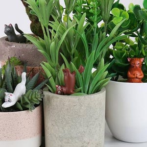 Könnte beinhalten: Vier Topfpflanzen mit kleinen Keramik-Katzenfiguren, die in die Erde gesteckt wurden. Die Katzen sind in verschiedenen Posen, darunter sitzend, liegend und stehend. Die Pflanzen befinden sich in Töpfen unterschiedlicher Farbe, darunter braun, grau und rosa.