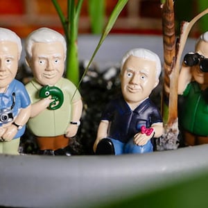 Puede incluir: Cuatro figuras en miniatura de hombres mayores en varias poses. Uno sostiene una cámara, otro un camaleón verde, un tercero está sentado con una flor rosa y el último mira a través de unos prismáticos. Cada figura tiene el pelo blanco y viste camisas de diferentes colores.