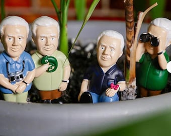 GR David Attenborough Mini Plant Pot Markers Nature Garden House plant Ornament