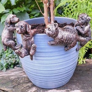 May include: A pale blue ceramic plant pot with a textured finish, decorated with four bronze-toned dog sculptures clinging to the sides. The pot holds a small tree and is set on a wooden surface, with green foliage in the background.