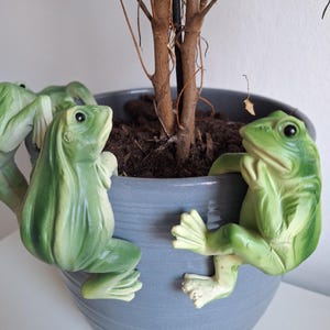 Puede incluir: Una maceta de cerámica gris con tres figuras de ranas verdes agarradas al costado. Las ranas tienen detalles y están posicionadas como si estuvieran trepando. Un pequeño árbol está plantado dentro de la maceta.