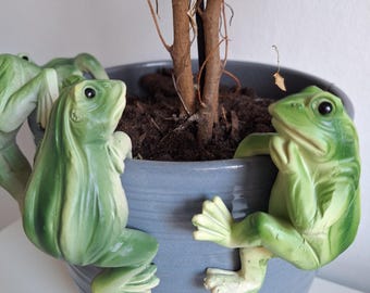 FROG Pot Hanger Coloured Gift Outdoor Indoor Ornament Birthday PHFC