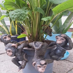 Op de afbeelding: Vier kleine, grijze, harsachtige apenfiguren die aan een groene plant in een blauwe pot hangen. De apen staan in verschillende poses, waaronder een met zijn hand op zijn hoofd.