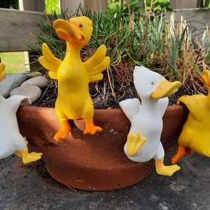 May include: Four yellow and white duck figurines are hanging on the edge of a terracotta flower pot. The ducks are in various poses, with some looking up and others looking down. The pot is filled with green plants.