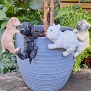 Peut inclure: Un pot de fleurs en céramique bleu avec quatre figurines de chiots accrochées sur le côté. Les chiots sont de différentes couleurs : beige, noir, blanc et jaune clair. Le pot contient une petite plante et est entouré de verdure.