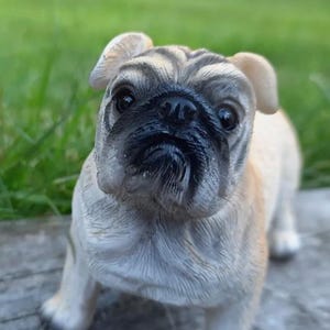 Könnte beinhalten: Eine kleine, hellbraune Mopsfigur mit schwarzem Fell um die Augen und die Nase. Die Figur sitzt auf einer grauen Oberfläche.