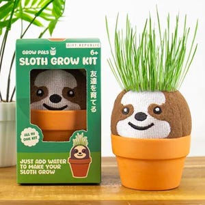 Peut inclure: Un kit de culture de paresseux Gift Republic dans une boîte verte avec du texte, comprenant une tête de paresseux en tissu marron et blanc dans un pot en plastique orange avec de l'herbe verte poussant au sommet, imitant des cheveux.