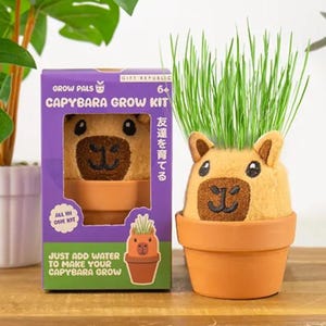 以下が含まれることがあります： テラコッタの鉢に入った、草が生えたカピバラのぬいぐるみヘッドが特徴のカピバラ育成キット。キットには、「CAPYBARA GROW KIT」と「JUST ADD WATER TO MAKE YOUR CAPYBARA GROW」というテキストが書かれた紫色の箱が含まれています。