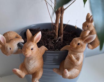 Rabbit Pot Hangers Coloured outdoor ornament Birthday
