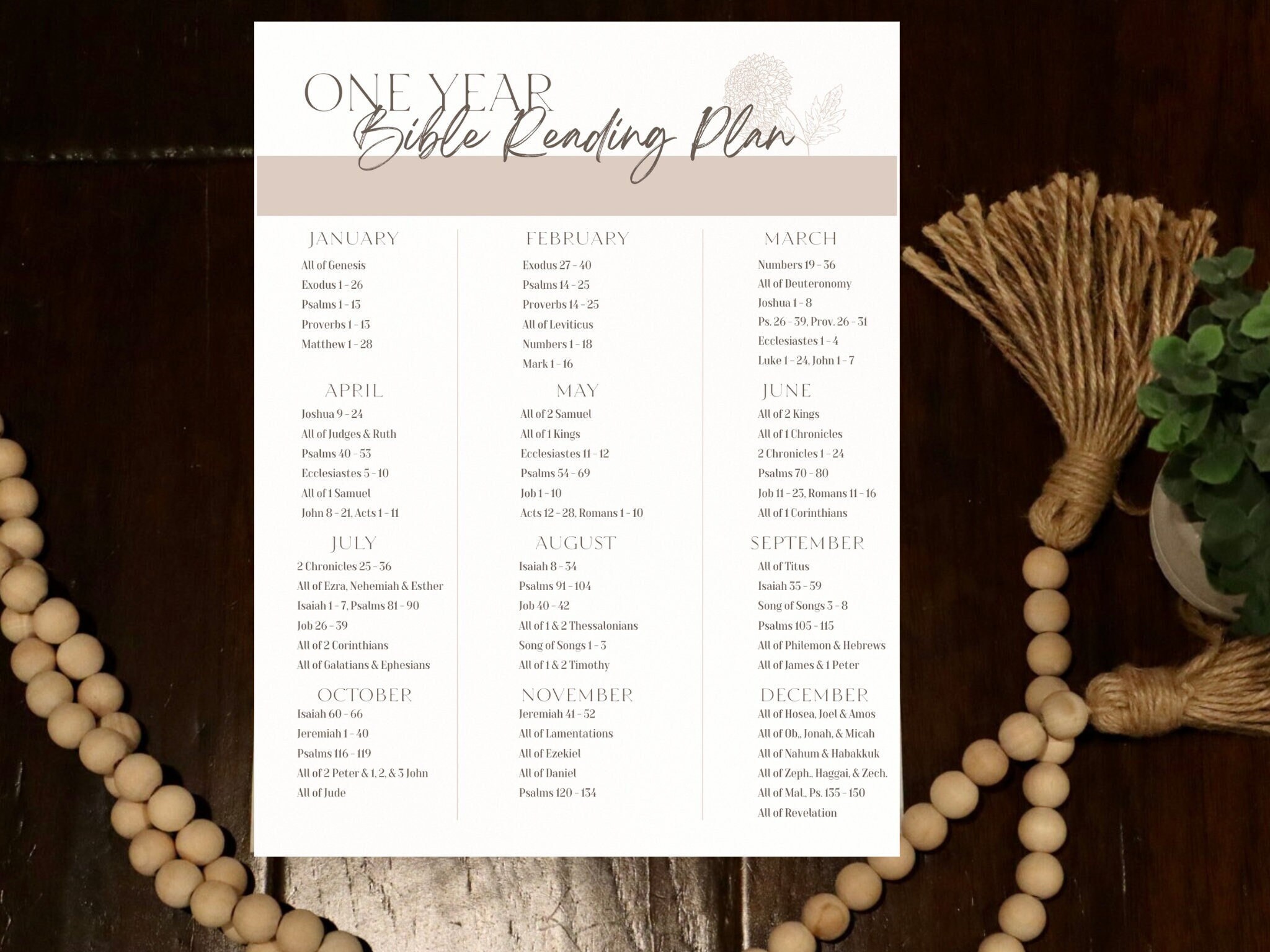 Bible One Year Reading Plan Read the Whole Bible in a Year 365 Days