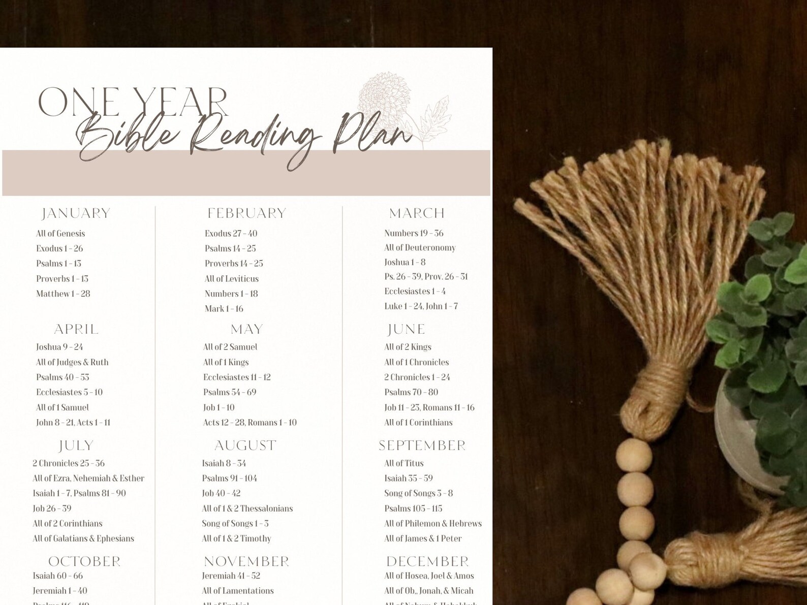 Bible One Year Reading Plan Read the Whole Bible in a Year 365 Days