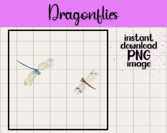 Dragonflies Eric Carle PNG Clipart, Kids Birthday (Digital Download)