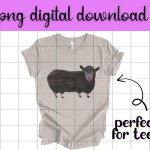 Brown Bear What Do You See? Clip Art Set | Transparent PNG Digital ...