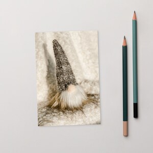 postal: Vida do Gnomo 08 | Tomte Sueco | Norueguês Nisse | Gnomo Nórdico | Elfos islandeses