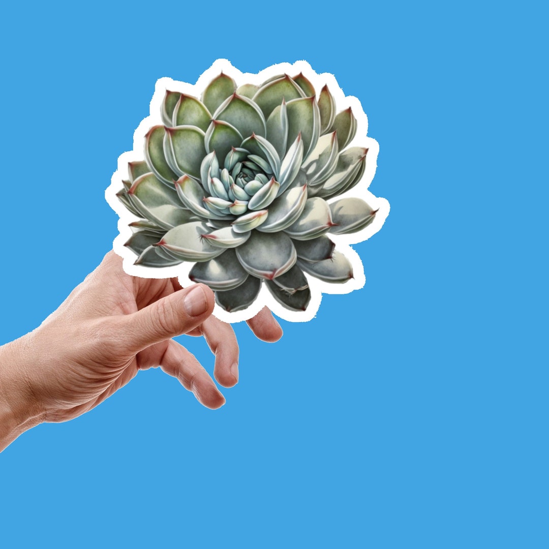 Succulent Plant Sticker / Garden Sticker / Plant Sticker / Mothers Day ...
