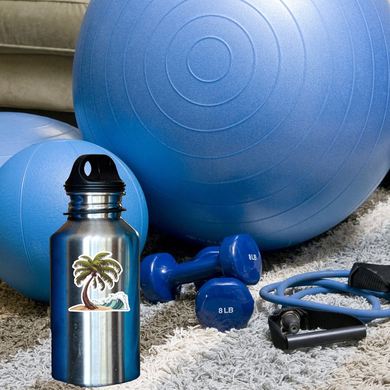 K&ouml;nnte beinhalten: Eine silberne Wasserflasche mit einem Aufkleber mit einer Palme und einer Meereswelle. Die Flasche steht auf einem wei&szlig;en Teppich mit blauen Gymnastikb&auml;llen, Gewichten und einem Widerstandsb&auml;nder.